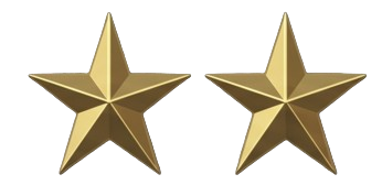 Assistant Chief of AMS insignia